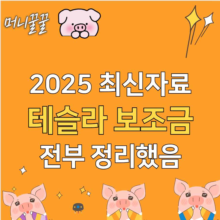 테슬라 보조금