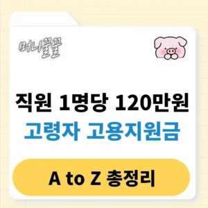고령자 고용지원금 내용 조건 신청 기간(1명당 120만원!) 1 고령자 고용지원금