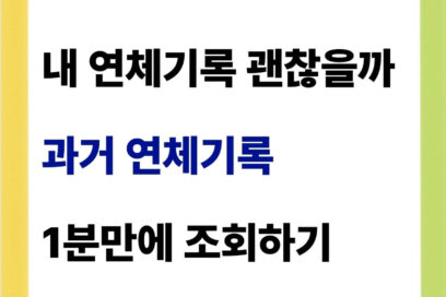 과거 연체기록 조회 방법(신용정보원 이력)