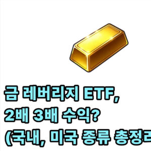 금 레버리지 ETF 종류 확인(2배, 3배, 국내, 미국) 1 금 레버리지 ETF 종류
