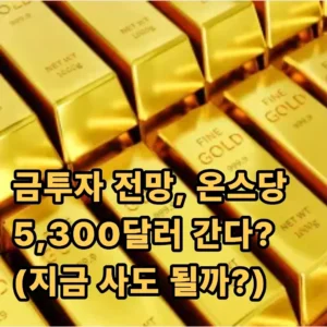 금투자 전망 분석해봄(지금 들어가도 될까?) 1 금 투자 전망