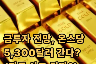 금투자 전망 분석해봄(지금 들어가도 될까?)