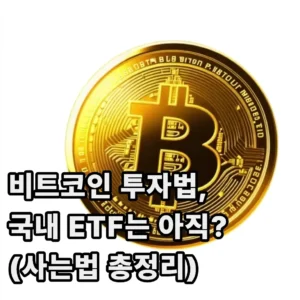 2025년 비트코인 투자법, 국내 ETF는 아직? (사는법 총정리) 1 비트코인 ETF 사는법