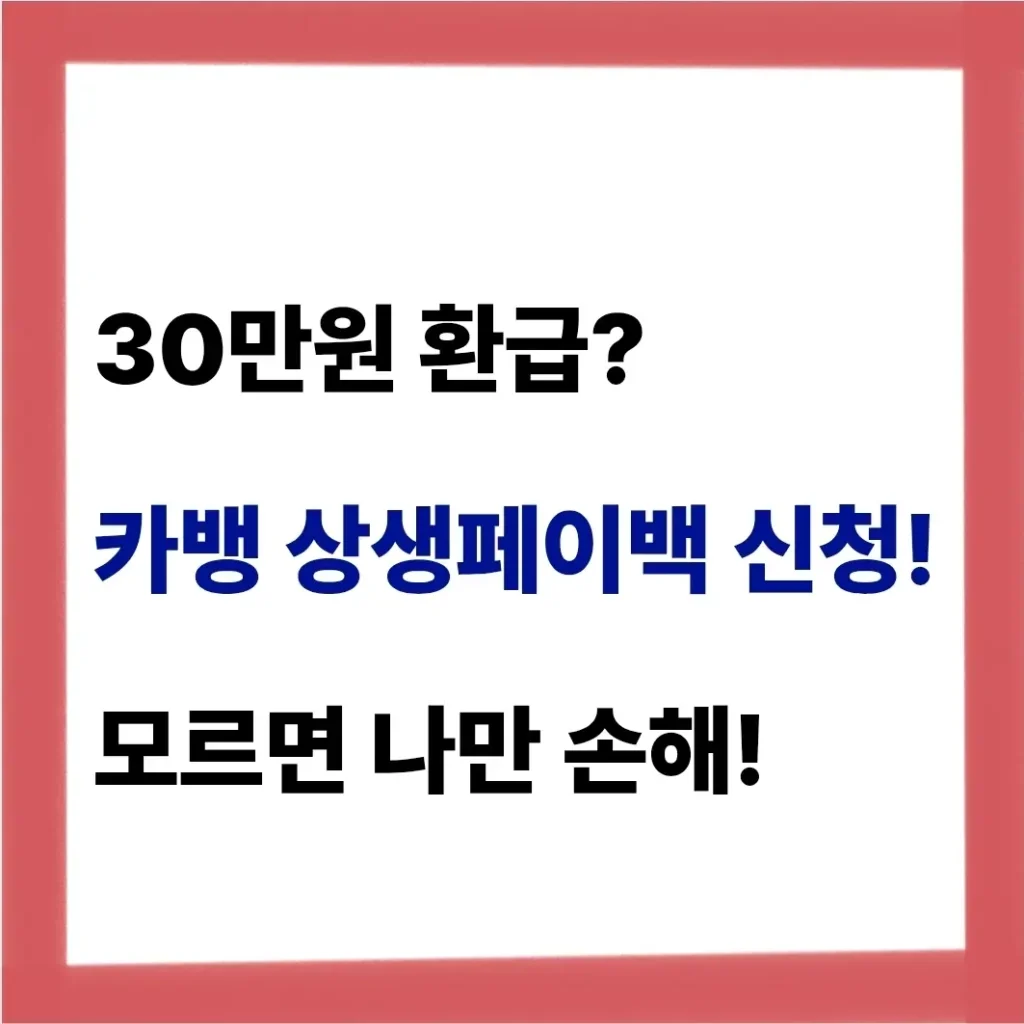 카카오뱅크 상생페이백 신청 안내 문구
