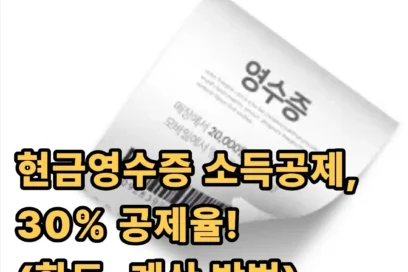 현금영수증 소득공제 한도 공제율 계산 알아보기(+지출증빙)